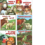 Set 6 carti cartonate pliate (Animale domestice, Animale salbatice, Animalele mele, In lumea animalelor, Animale din ograda, Mama si puiul)