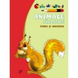 Animale salbatice - Poezii si ghicitori. Carte de colorat