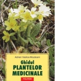 Ghidul plantelor medicinale