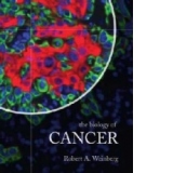 Biology Of Cancer