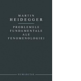 Problemele fundamentale ale fenomenologiei