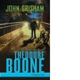Theodore Boone : Rapirea