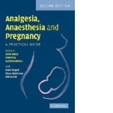 Analgesia, Anaesthesia and Pregnancy : A Practical Guide