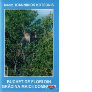 Buchet de flori din gradina Maicii Domnului