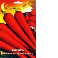 Morcov Flakkee 2 (Gigante Rossa)