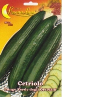 Castravete Lungo Verde degli Ortolani