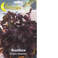 Basilico Foglia Violetta