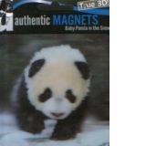 Magnet 3D : Pui de urs panda in zapada