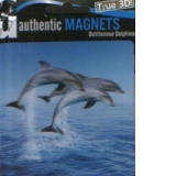 Magnet 3D : Delfini