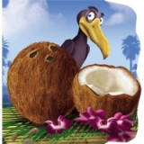 Nuca de cocos (Primii pasi)