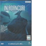 In Adancuri / Deep Ocean (DVD Video)