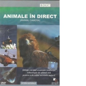 Animale in direct / Animal camera (DVD Video)