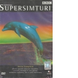 Supersimturi / Supersense (DVD Video)