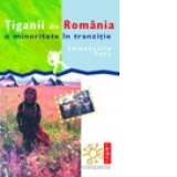 Tiganii din Romania