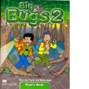 Big Bugs 2 Flashcards