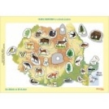 Harta Romaniei cu animale si plante- joc didactic cu 29 de piese