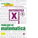 PROBLEME DE MATEMATICA PENTRU CLASA A X-A