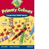 Primary Colours - Starter Vocabulary Cards
