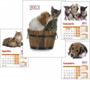Calendar de perete cu pisici si caini 2013