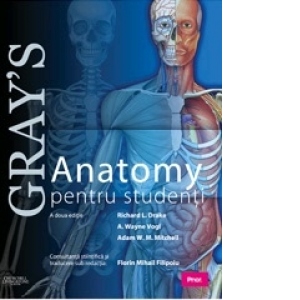 Gray s Anatomy pentru studenti, A doua editie