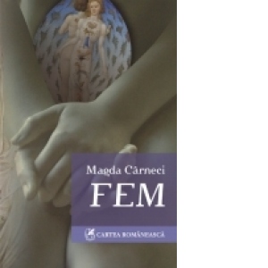 FEM