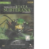 Nebanuita viata subterana. Partea B (Life in the undergrowth)