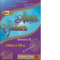 Algebra. Geometrie, Clasa a VII-a, Semestrul II 2012