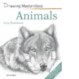 Drawing Masterclass Animals
