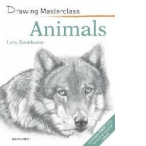 Drawing Masterclass Animals