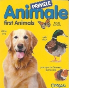 Vezi detalii pentru Primele animale / First Animals - File cartonate (roman-englez)