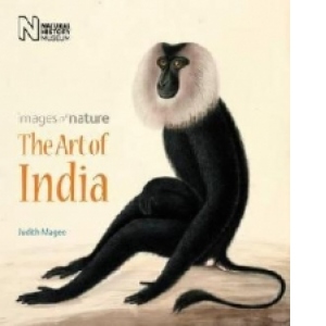Art Of India Images Of Nature