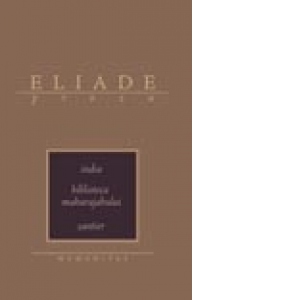 India / Biblioteca maharajahului / Santier