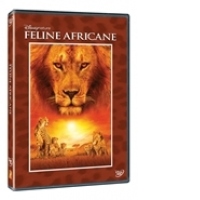 Feline africane