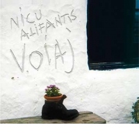 Voiaj