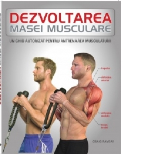 Dezvoltarea masei musculare. Un ghid autorizat pentru antrenamentul musculaturii