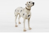 Figurina rasina catel dalmatian III 36x30 cm