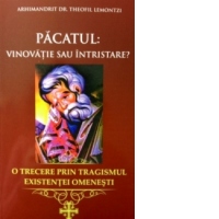 Pacatu: Vinovatie sau intristare? O trecere prin trangismul existentei omenesti