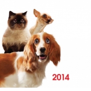 Calendar de birou 2014 cu caini si pisici (format: 14x17 cm)