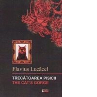 Trecatoarea pisicii / The Cat's Gorge