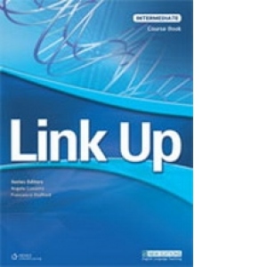 Link Up Intermediate Workbook