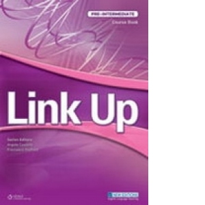 Link Up Pre-Intermediate Workbook