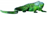 Iguana - 13 cm