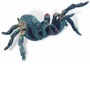 Tarantula