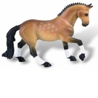 Armasar Trakehner
