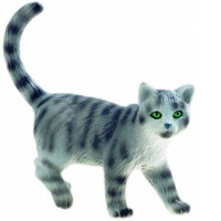 Pisica vargata "Minka"