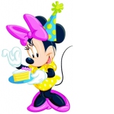 Minnie Celebration