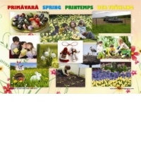 Set 4 planse Anotimpurile