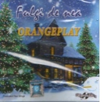 Fulgi de nea