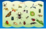 Plansa Insecte
