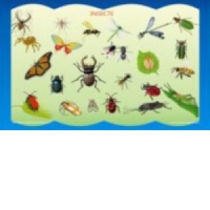 Vezi detalii pentru Plansa Insecte